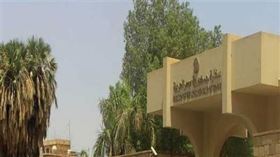 مصر تعلن إصابة أحد موظفي سفارتها بالخرطوم وتكشف موقف الجالية المصرية بالسودان