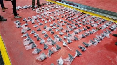 بتهمة تهريب ذهب وأسلحة.. ضبط نائب أردني على حدود إسرائيل 