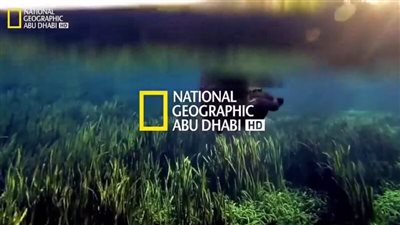  تردد قناة ناشيونال جيوغرافيك أبو ظبي 2023 National Geographic