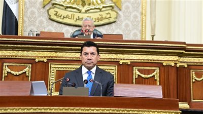 منها الأهلي والزمالك.. وزارة الرياضة تبدأ التفتيش المالي والإداري على الهيئات الرياضية