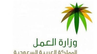 السعودية.. خطوات الاستعلام عن نطاق المؤسسة برقم السجل (رابط)