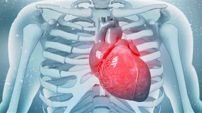 آلية عمل جهاز تنظيم القلب.. هل هو مفيد للمرضى؟