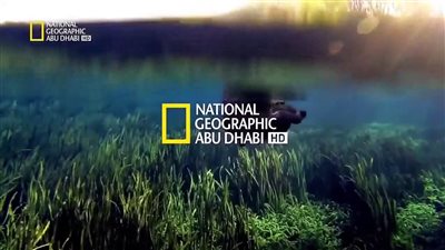 تردد قناة ناشيونال جيوغرافيك National Geographic الجديد 2023.. وأهم البرامج