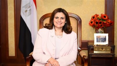 وزارة الهجرة تعلن فتح باب التقدم للاتحاق بالمجلس الاستشاري لشباب الباحثين بالخارج