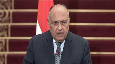 تأكيد مصري على ضرورة أهمية تفعيل الدور العربي في سوريا