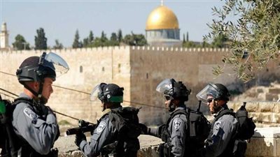 وزراء الخارجية العرب يدينون الاعتداءات الإسرائيلية على الأراضي الفلسطينية