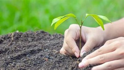 خطوات الاشتراك في المبادرة الوطنية للمشروعات الخضراء الذكية (رابط)