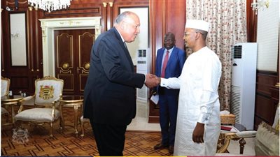 مصر وتشاد تتفقان على تنسيق المواقف حيال الأزمة السودانية