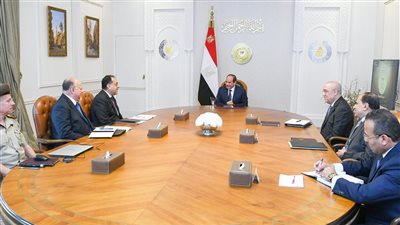 الرئيس السيسي يوجه بصَوْنِ المواقع والمنشآت الأثرية ذات القيمة التاريخية