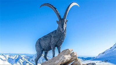 حظك اليوم برج الجدي يوم الثلاثاء 9 مايو 2023: اعتمد الصمت المؤقت