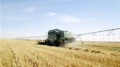 برلماني مصري: ما نشاهده بشرق العوينات إنجاز حقيقي يدعو للفخر