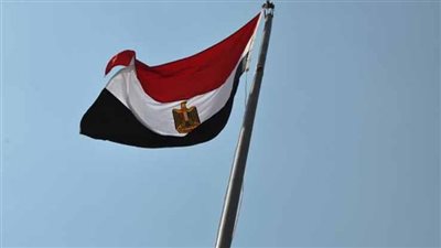 برلماني مصري: قرارات 