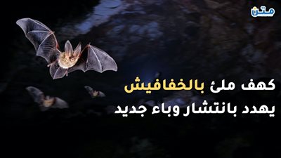 كهف ملئ بالخفافيش يهدد بانتشار وباء جديد (فيديو جراف)