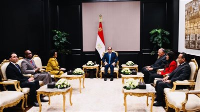 الرئيس السيسي يلتقي المدير التنفيذي لوكالة الاتحاد الأفريقي للتنمية 
