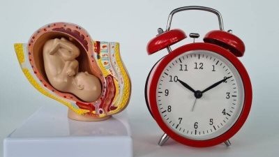 كم تستغرق عملية الحقن المجهري؟ خطوات العملية بالتفصيل من الألف للياء