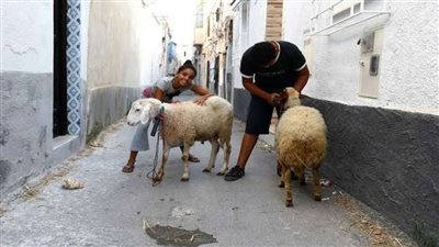 موعد عيد الأضحى فلكيا