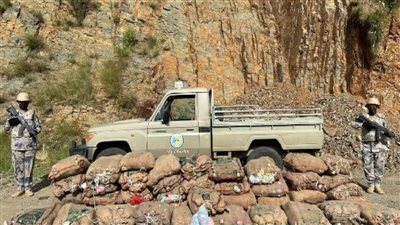 السعودية.. حرس الحدود بجازان يحبط تهريب 260 كيلوجرامًا من القات المخدر