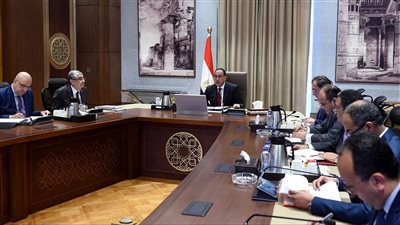 مصر.. توجيهات بتصنيع العدادات مسبوقة الدفع والذكية محليًا