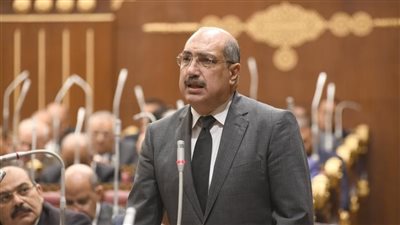 برلماني مصري: المجلس الأعلى للتعليم والتدريب يعكس حرص السيسي على تطوير المنظومة بأكملها