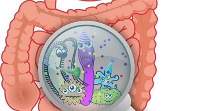 علاج النزلة المعوية.. النظافة والطعام المناسب