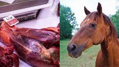 يبيع كيلو المفروم بـ 150 جنيه.. ضبط 