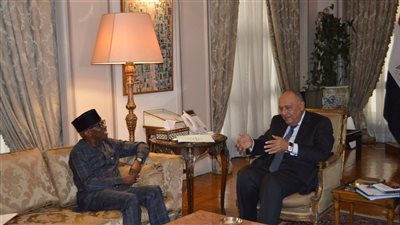 وزير الخارجية يستقبل مفوض الشئون السياسية والسلم والأمن بالاتحاد الأفريقي