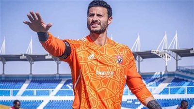 قرار خاطىء أم سليم.. ماذا يعني الدفع بـ 