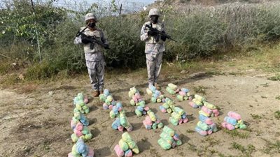 السعودية.. حرس الحدود بجازان يحبط تهريب (100) كيلوجرام من نبات القات المخدر