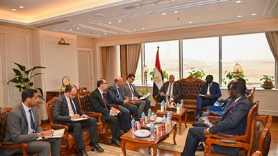 مباحثات مصرية جنوب سودانية في «الري والموارد المائية»