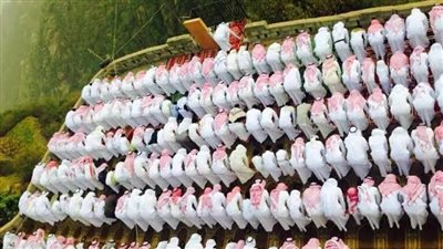 إجازة عيد الأضحى 1444 في المملكة العربية السعودية