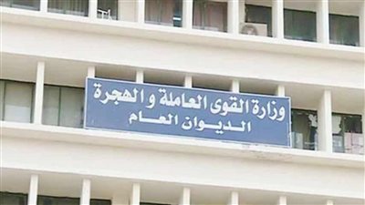 ما هي طريقة الاستعلام عن الوظائف الشاغرة  في مصر 2023؟