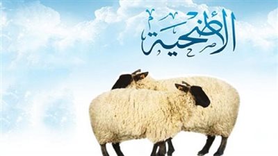 عاجل.. الأزهر يحسم الجدل حول فتوى التضحية بالطيور بدلا من العجول