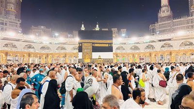 600 ألف رأس من الأغنام حصيلة نسك الحجاج حتى الآن
