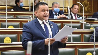 برلماني: إنشاء المجلس الأعلى للتعليم خطوة مهمة للارتقاء بالمنظومة التعليمية