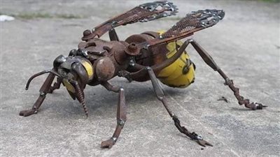 التخلص من حشرات الصيف دون مبيدات حشرية.. طهري منزلك بلا اضرار 