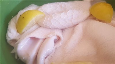 بأسهل الطرق.. خطوات تنظيف كرشه البقرة بالملح والليمون بالتزامن مع عيد الأضحى 