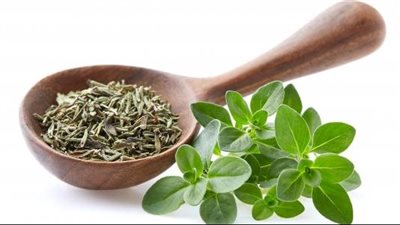 9 أعشاب تحرق الدهون الثلاثية.. ماذا عن خل التفاح؟