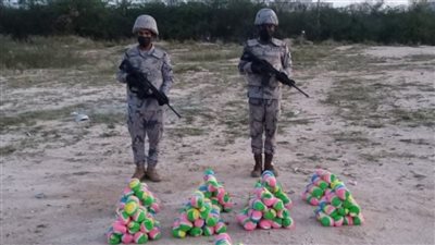 السعودية.. حرس الحدود بجازان يحبط تهريب 100 كيلوجرام من نبات القات المخدر