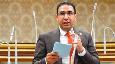 برلماني مصري: نتوقع أن تنتهي قمة دول جوار السودان إلى وقف الاقتتال بين العناصر السودانية