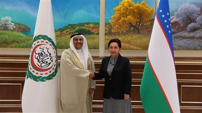 العسومي: البرلمان العربي يقود دبلوماسية برلمانية لتعزيز حضوره الدولي