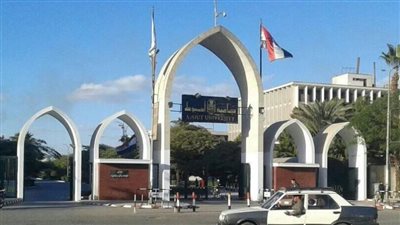 لينك نتيجة كلية تجارة جامعة أسيوط 2023 بالاسم ورقم الجلوس