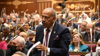 برلماني: مهرجان العلمين الجديدة يضع مصر على مصاف الوجهات السياحية الكبرى بالمنطقة