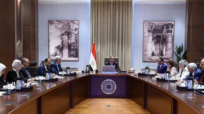 مصر.. رئيس الوزراء يستعرض الرؤية المقترحة لتطوير منطقة جنوب القاهرة التاريخية