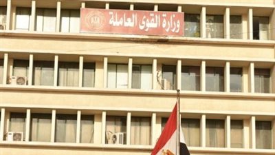  للحصول على 1000ج شهريًا... لينك منحة العمالة الغير منتظمة الرسمي 2023