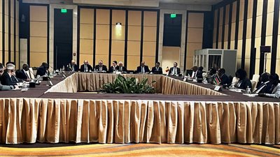 السودان.. قوات الدعم السريع تُرحب بالبيان الختامى لقمة «دول جوار السودان» بالقاهرة