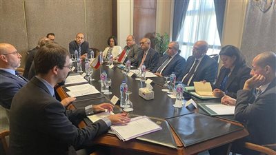 مباحثات بين مصر والتشيك حول تطور العلاقات السياسية والاقتصادية بين الجانبين