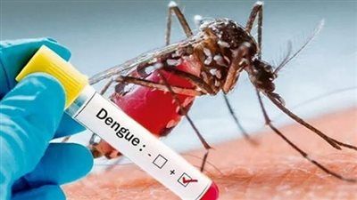 كيفية انتقال حمى الضنك.. وأعراض الإصابة