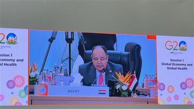 وزير المالية المصري: يجب على المؤسسات المالية العالمية تعزيز دعمها للبلدان النامية