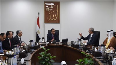 رئيس الوزراء يلتقي الرئيس التنفيذي لشركة 