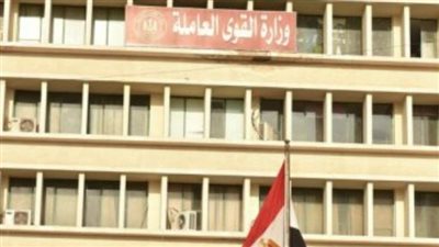 خطوات التقديم في فرص العمل الجديدة لذوي الهمم في محافظتي القاهرة والجيزة.. ولينك الاستعلام